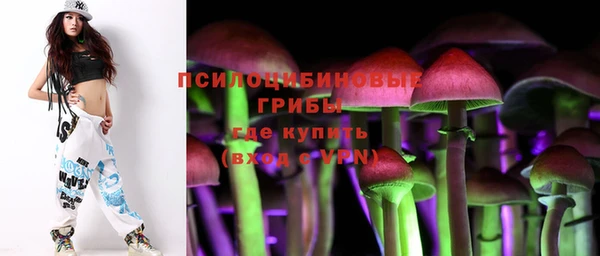 соль курить ск Сосновка