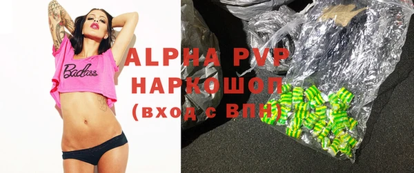 прущие грибы Сосновоборск