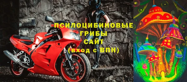 соль курить ск Сосновка