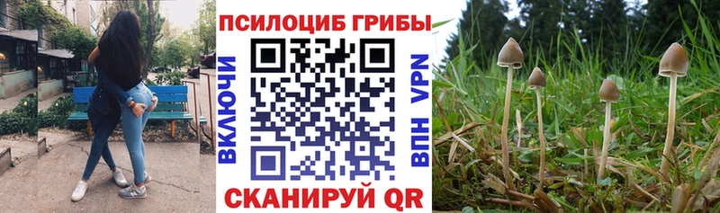 Галлюциногенные грибы GOLDEN TEACHER  Купить где  Сенгилей 