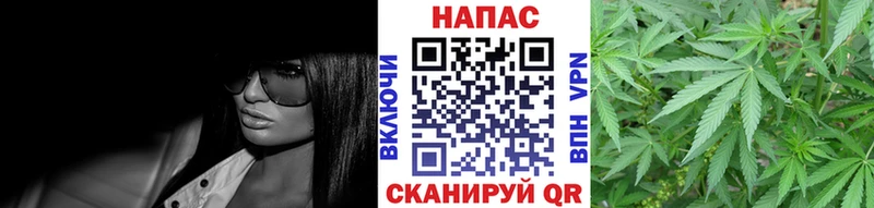 Шишки марихуана VHQ Купить где Сенгилей